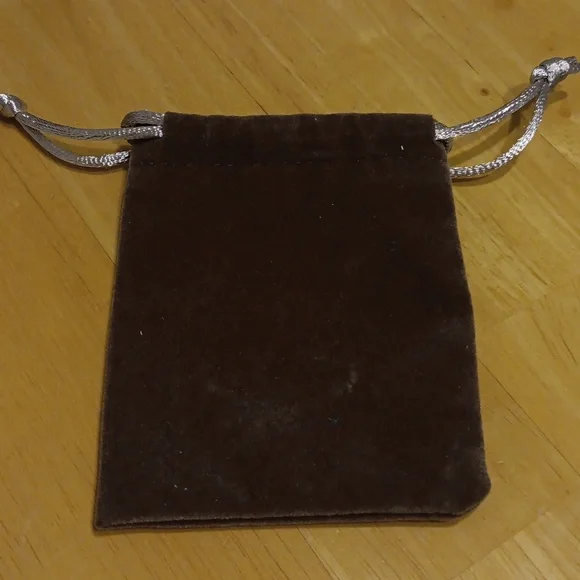 Hoop Earrings with Dust Bag NWT - Picture 2 of 3